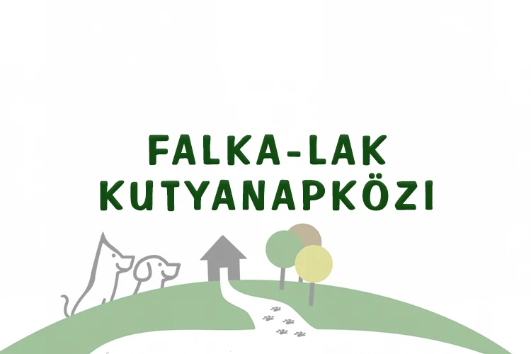 Falka-Lak Kutyanapközi
