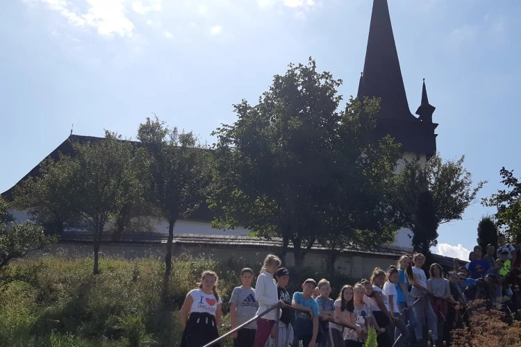 HAT-19-01-01202 Körösfő