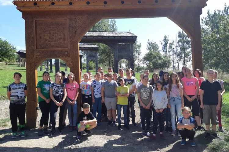 HAT-19-01-01202 Szejkefürdő, székelykapuk