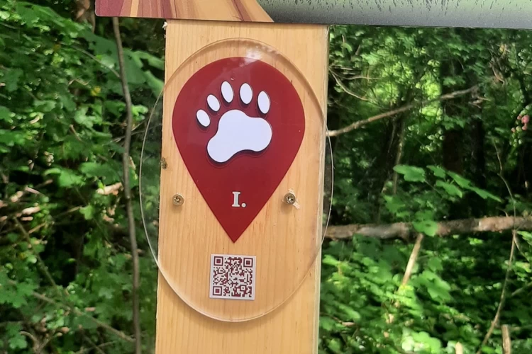 LÉbényi Lackó Sétálója0