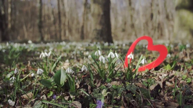 Lébény - Kis város, nagy szívvel